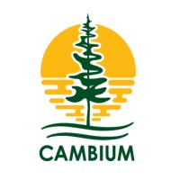 Cambium Inc. logo - Similar company to Ace Scientific