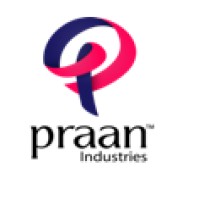 Praan Industries Private Limited logo - Similar company to Digitalwins