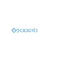 CODGRID logo - Similar company to Codgrid Llc