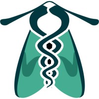 Cadra Insights logo - Similar company to Australian Monk