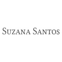 Grupo S. Santos Calçados logo - Similar company to Di Valentini