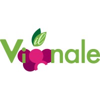 Il Vignale Azienda Agricola logo - Similar company to Teanum