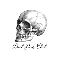 Dark Poets Club logo - Similar company to Clare Fm