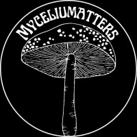 Myceliumatters logo - Similar company to Laali