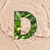 Definitely Social logo - Similar company to B.Digital