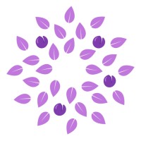 Plumtree IT logo - Similar company to Plumtree Software