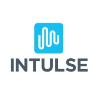 Intulse logo - Similar company to Visual Impact Group - Usa
