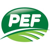 PEF Srl logo - Similar company to Pef Spa