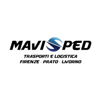 MAVISPED SRL logo - Similar company to Ls Group Srl