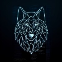 Wolf Codes logo - Similar company to Wolf Code Solutions