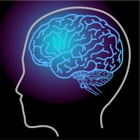 BrainMind logo - Similar company to Brainmind Studios