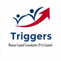 Triggers Human Capital Consultants logo - Similar company to Bits Technology Group