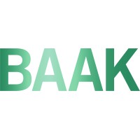 BAAK Blankenburgverbinding logo - Similar company to Pink + Nelson