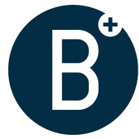 Borrauto srl logo - Similar company to Cotton Trend