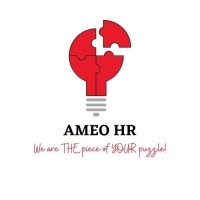 AMEO Consult logo - Similar company to Hvr