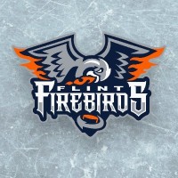 Flint Firebirds logo - Similar company to Lansing Lugnuts