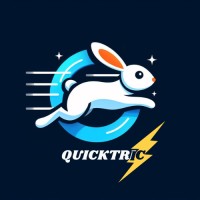 Quicktric logo - Similar company to Mountain Trade Network
