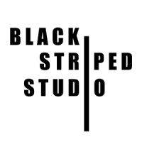 BLACK STRIPED STUDIO logo - Similar company to Danefæ