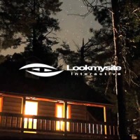 Lookmysite Interactive logo - Similar company to Welook Digital