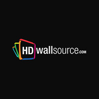 HDWallSource logo - Similar company to Real Time Reviews