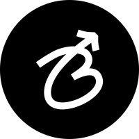 BORDERLESS SKILLS logo - Similar company to Tes Digital Business Solutions