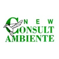 NEW CONSULT AMBIENTE S.R.L. logo - Similar company to Flaei Cisl