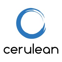 Cerulean Technologies