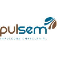 Pulsem