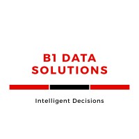 B1 Data Solutions logo - Similar company to Andyblum.Io