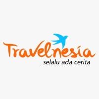 Travelnesia logo - Similar company to Digital Live Hub