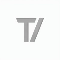 Transformative Ventures