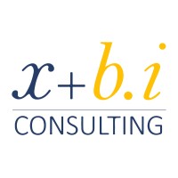 X + B.I Consulting