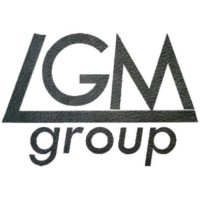 LGM GROUP SRL logo - Similar company to Valmi Group
