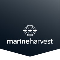 Marine Harvest Group logo - Similar company to Ictiovet