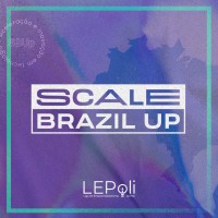Scale Brazil Up (Sbup)