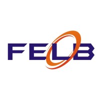 FELB Srl logo - Similar company to Dek - Testing Machines