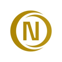 N Consulting logo - Similar company to Bullconcept Smart Solutions Ltd.