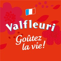 VALFLEURI Créateur de Pâtes logo - Similar company to Imserson