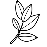 Vera Advisory logo - Similar company to Duo Consulting
