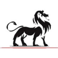 LionPublic logo - Similar company to Paramount Aviation