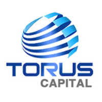 Torus Capital logo - Similar company to Ltm Digital