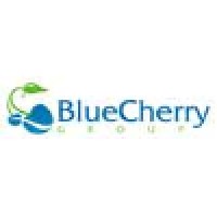 Blue Cherry Media Group logo - Similar company to Amazon 360 Inc