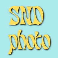 SND Photo logo - Similar company to Intellectum Academy