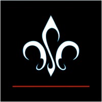 PHILIPPE V-Ltd logo - Similar company to Thema Optical