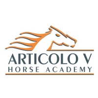 Articolo V Horse Academy logo - Similar company to Reblinds