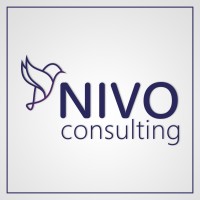 Nivo Consulting logo - Similar company to Eka Build