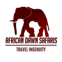 African Dawn Safaris - Tours & Transfers