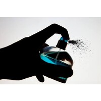 Perfume Solutions logo - Similar company to Perfume Processor®