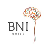 Instituto de Neurociencia Biomédica, BNI logo - Similar company to 2It