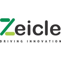 Zeicle logo - Similar company to Anil S Gupta & Associates